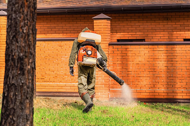 Bed Bug Clearance Verification and Documentation in San Tan Valley